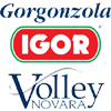 Gorgonzola Novara