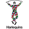 Harlequin FC