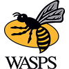 Wasps