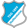 TSG Hoffenheim