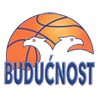 Buducnost Voli