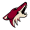 Arizona Coyotes
