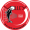 AS Saint Raphael VB
