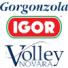 Gorgonzola Novara