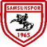 Samsunspor