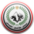 Tala'ea El Geish