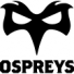 Ospreys